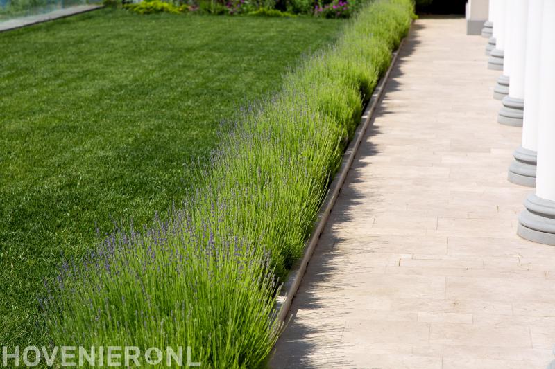 Hoveniersbedrijf Nuyten B.V.