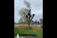 Ridderhof Boomverzorging