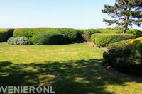 Strak gesnoeide hagen en gazon