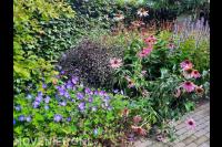 Beplantingsbureau.nl