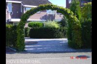 Lion Hoveniersbedrijf