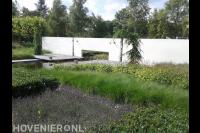 Moderne tuin met vijver en veel groen 1