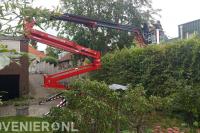 Wiegersma Boomverzorging