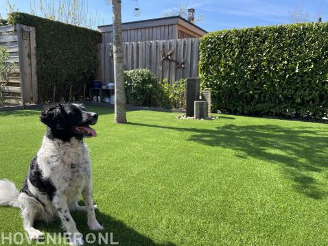 Kunstgras ook geschikt voor huisdieren en makkelijk schoon te houden.