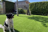 Kunstgras ook geschikt voor huisdieren en makkelijk schoon te houden.