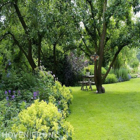 Ruime tuin met veel groen
