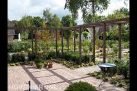 Tuin met grote houten pergola