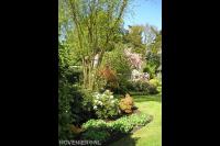 Grote groene border langs gazon