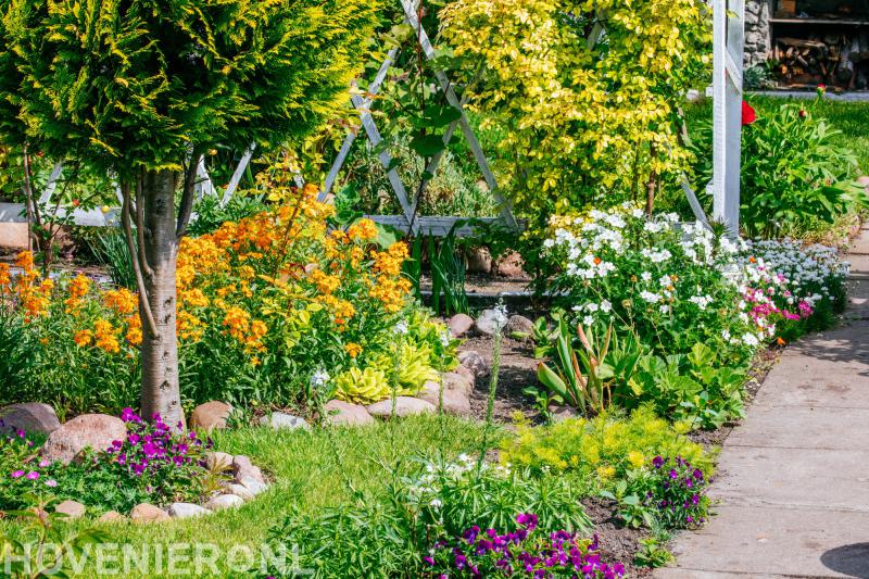 Hoveniersbedrijf Dijk B.V.