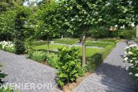 Klassieke tuin met hortensia's naast looppaden