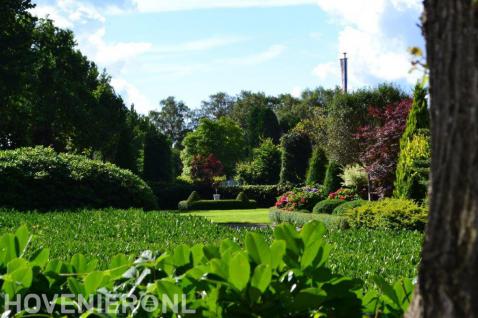 Landschapstuin met veel groen 1