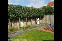 Tuin met gazon, terras, verhoogde borders en leibomen