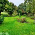 Wouda Boomzorg en Advies
