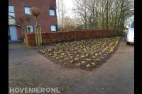 Nieuwe beplanting aanbrengen