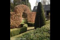 De Haan Boomzorg & Tuinen B.V.