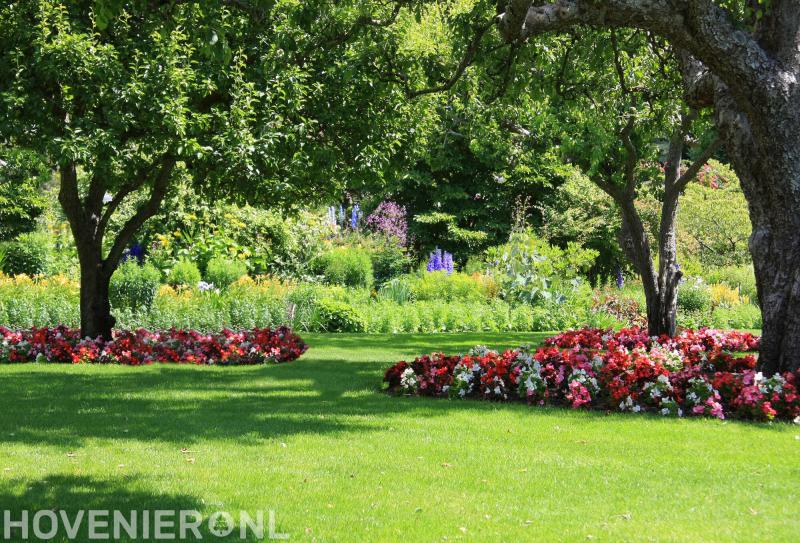 Aart Boer Tuinonderhoud