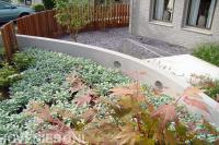 Moderne tuin met vetplantjes, siergras en split 1