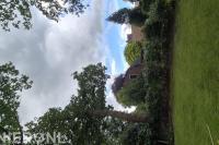 JvR Boom en Groen