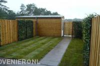 Achtertuin met gazon van graszoden en houten schutting met klimop