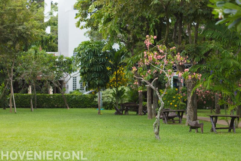 Hoveniersbedrijf Kok