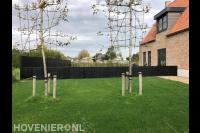 Tuin met gazon en donkere schutting