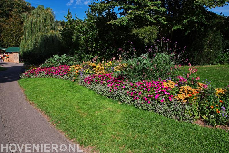 Tuindesign & Styling Ves Reijnders B.V.