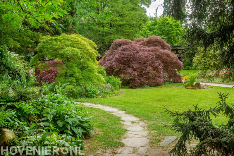 Hoveniersbedrijf TuinMetamorfose