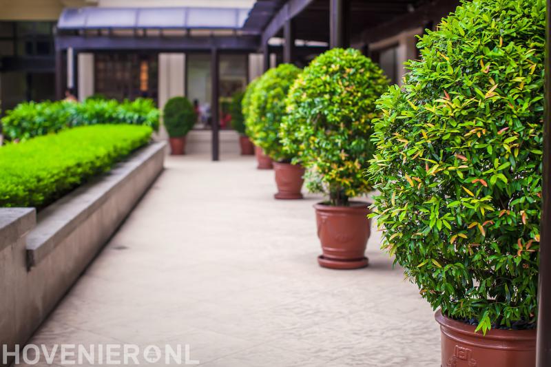 Tuinbureau Het Wilde Land