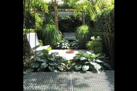 tuinontwerp Nijmegen Het Buitenland Jungle 1