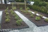 Voortuin met split en borders met nieuwe beplanting