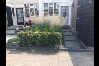 Schaddelee Hoveniersbedrijf