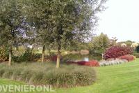 Borders met siergrassen tussen vijver en gazon 1
