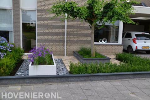 Moderne voortuin met bestrating, plantenbakken en taxushaag