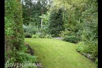 Groene tuin met gazon 2