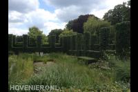 Strak snoeien van hagen en vormsnoei 3