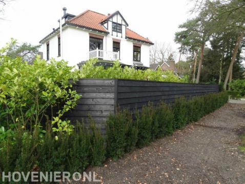 Houten schutting plaatsen en haag planten