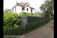 Houten schutting plaatsen en haag planten