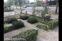 Aanleggen voortuin met grindpaden tussen borders met vaste planten 2