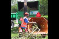 Konijnenberg Bos en Groen