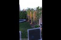 Spots plaatsen onder leibomen