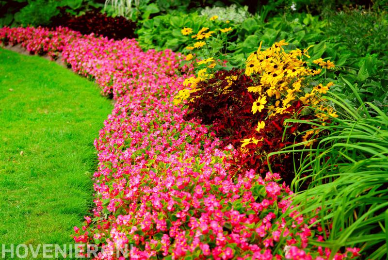 Hoveniersbedrijf Koster