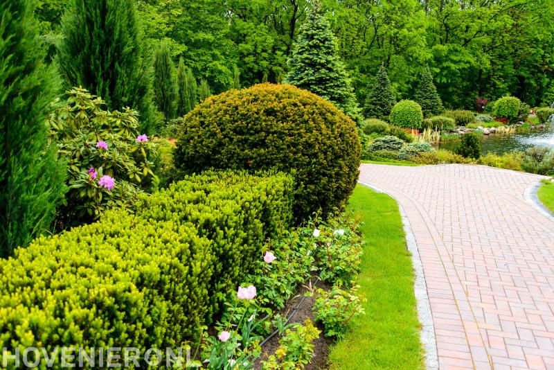 Van Alphen Hoveniers