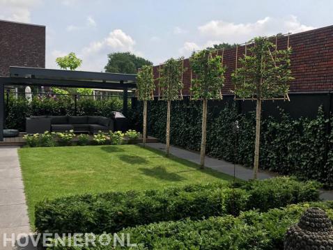 Groene tuin met gazon, leibomen en overkapping met vlonder