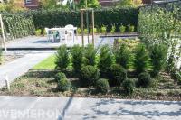 Strakke tuin met bestrating van grote tegels en hedera schutting 2