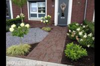 Onderhoudsvriendelijke voortuin met hortensia's