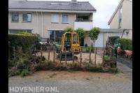 Coniferen verwijderen met minikraan