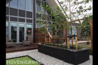 Vlonderterras en plantenbak van stapelblokken met leibomen