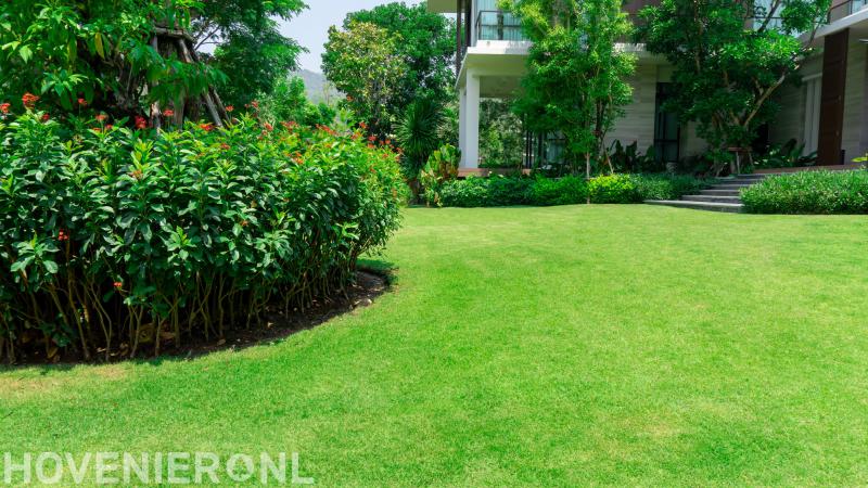 Hoveniersbedrijf Martin Dunnink