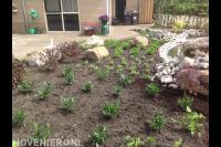 Tuin met vijver, beplanting en bestrating van natuurlijke stenen 4