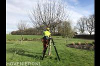 Fruitboom snoeien